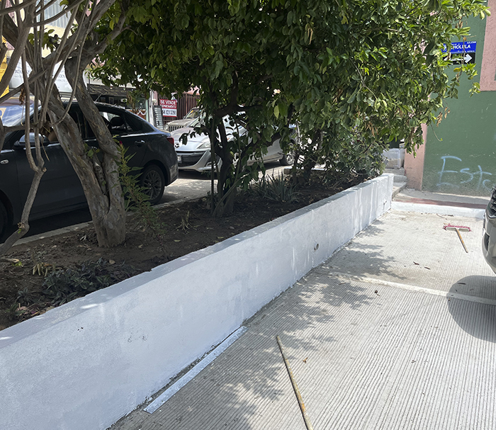 Pavimentación calle Cholula
